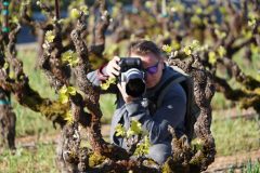 2022-Sonoma-Epicurean-Top-Photos-17