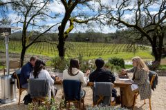 20230310-S_E-In_The_Vineyard-I8V_174-scaled-1