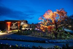 20230310-V_F-S_E-Montage-lights_I8V-003-1-scaled-1
