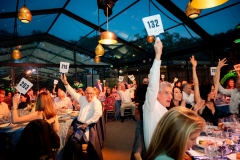 Gala-Auction-10